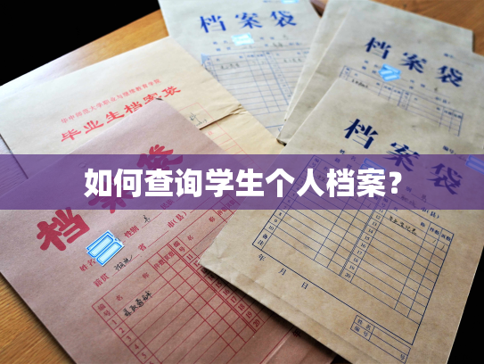 如何查询学生个人档案？