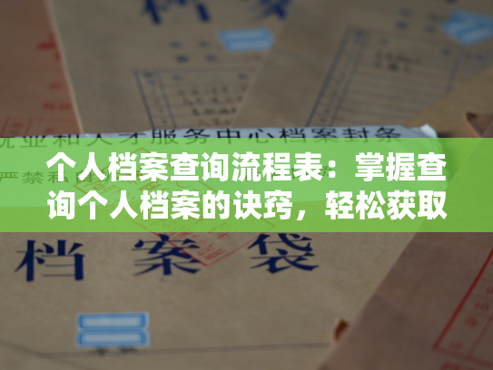 个人档案查询流程表：掌握查询个人档案的诀窍，轻松获取历史记录