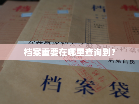档案重要在哪里查询到？