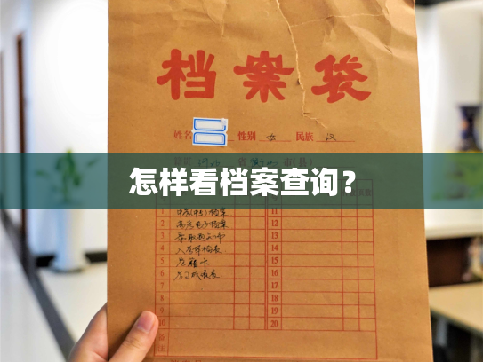 怎样看档案查询？
