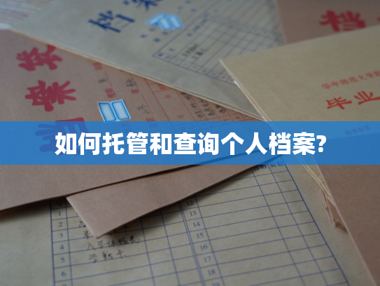 如何托管和查询个人档案?