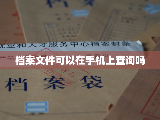 档案文件可以在手机上查询吗