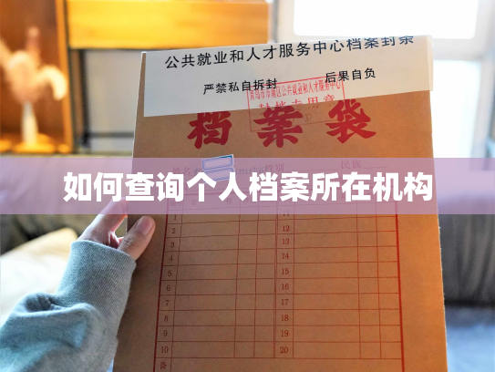 如何查询个人档案所在机构