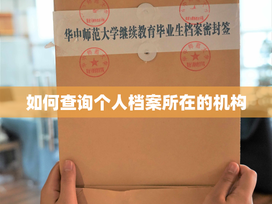 如何查询个人档案所在的机构