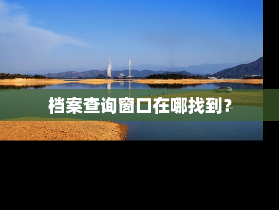 档案查询窗口在哪找到？