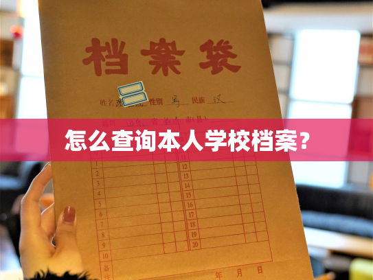 怎么查询本人学校档案？