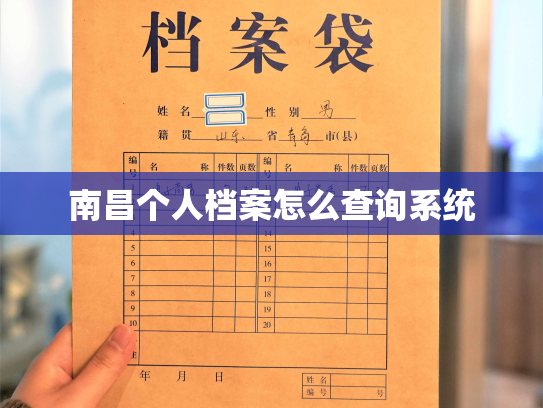 南昌个人档案怎么查询系统