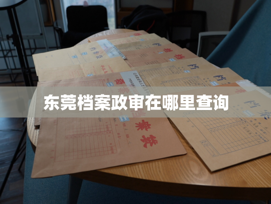 东莞档案政审在哪里查询