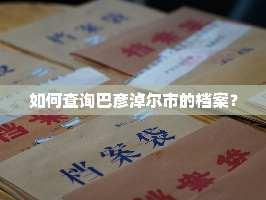 如何查询巴彦淖尔市的档案？
