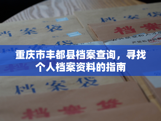 重庆市丰都县档案查询，寻找个人档案资料的指南