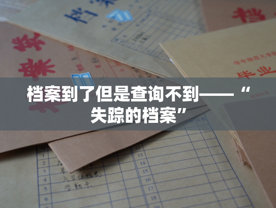 档案到了但是查询不到——“失踪的档案”