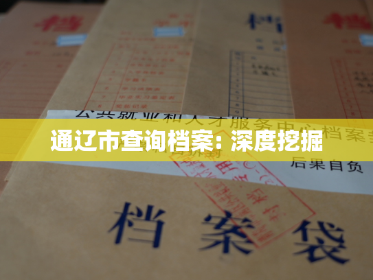 通辽市查询档案: 深度挖掘