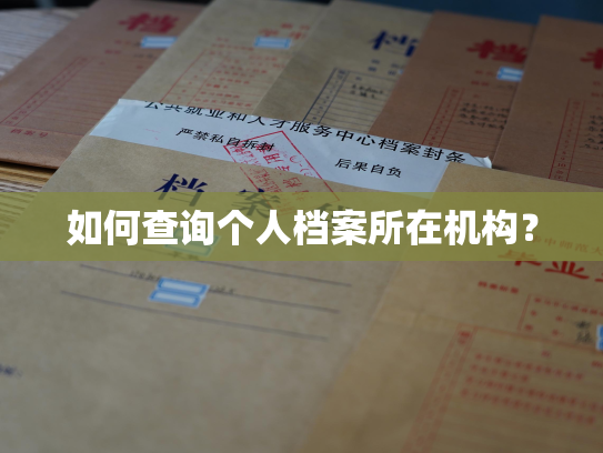 如何查询个人档案所在机构？