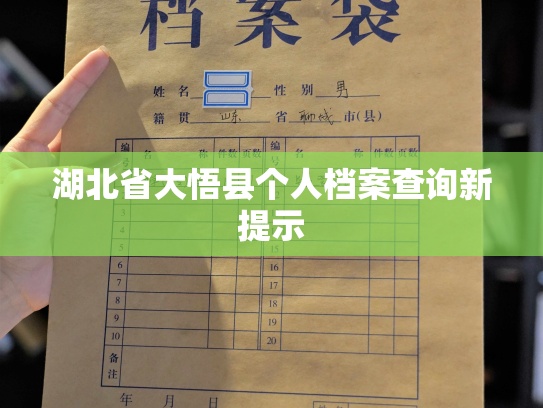 湖北省大悟县个人档案查询新提示