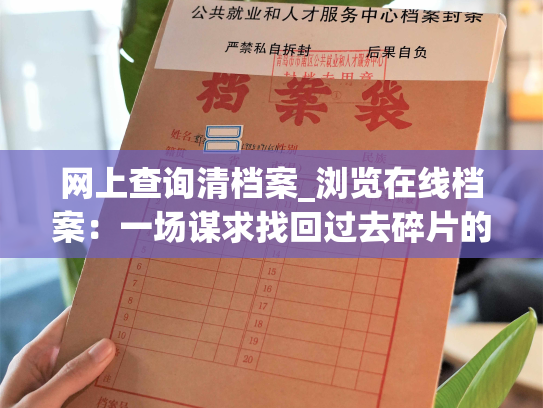 网上查询清档案_浏览在线档案：一场谋求找回过去碎片的旅行
