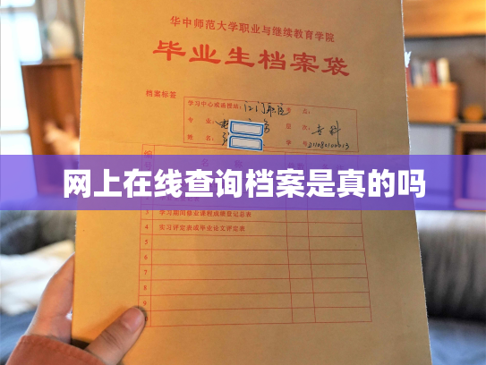 网上在线查询档案是真的吗