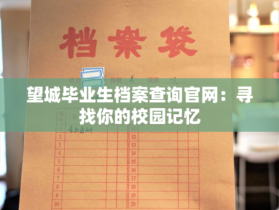 望城毕业生档案查询官网：寻找你的校园记忆