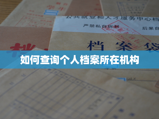 如何查询个人档案所在机构