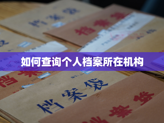 如何查询个人档案所在机构