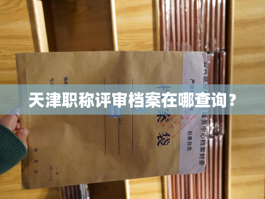 天津职称评审档案在哪查询？