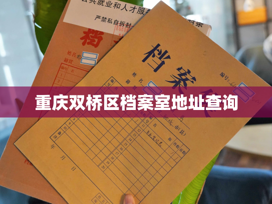 重庆双桥区档案室地址查询