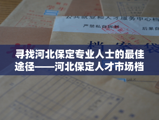 寻找河北保定专业人士的最佳途径——河北保定人才市场档案查询