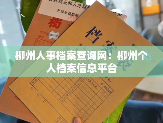 柳州人事档案查询网：柳州个人档案信息平台