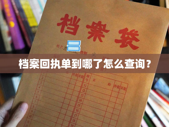 档案回执单到哪了怎么查询？