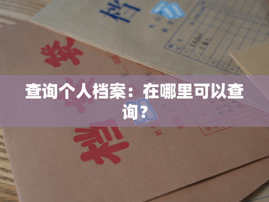 查询个人档案：在哪里可以查询？