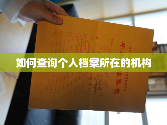 如何查询个人档案所在的机构