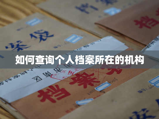 如何查询个人档案所在的机构