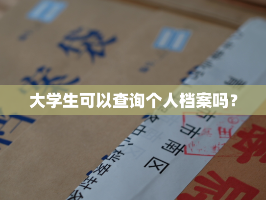 大学生可以查询个人档案吗？