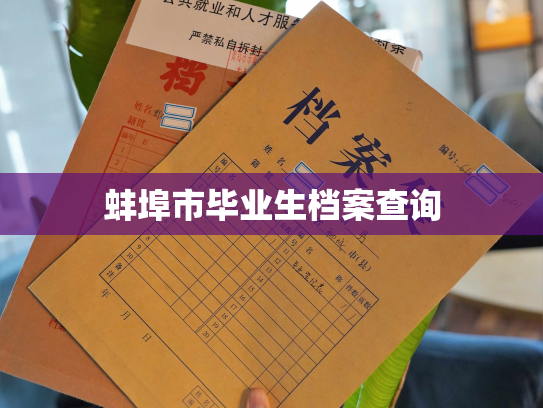 蚌埠市毕业生档案查询