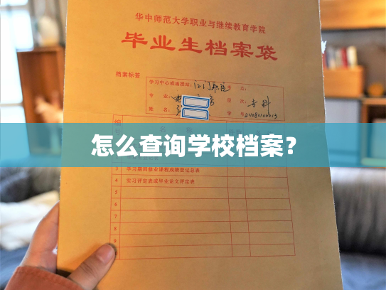 怎么查询学校档案？
