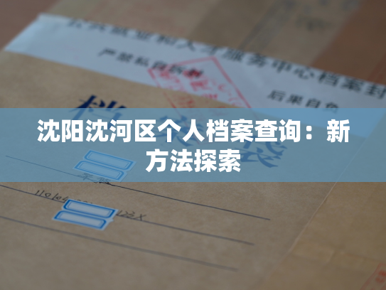 沈阳沈河区个人档案查询：新方法探索