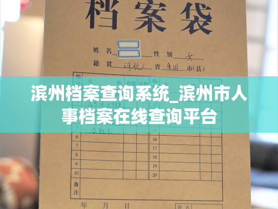 滨州档案查询系统_滨州市人事档案在线查询平台