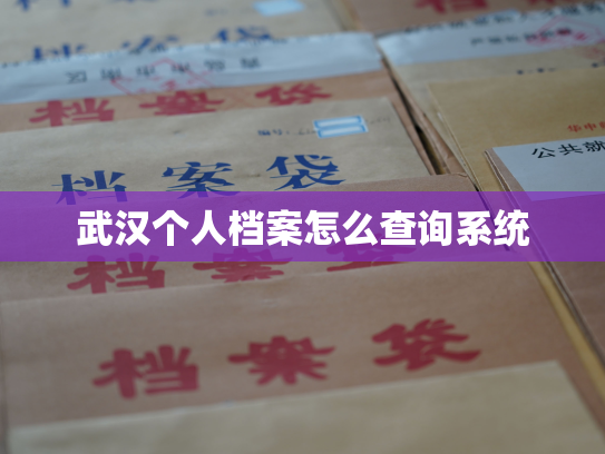 武汉个人档案怎么查询系统