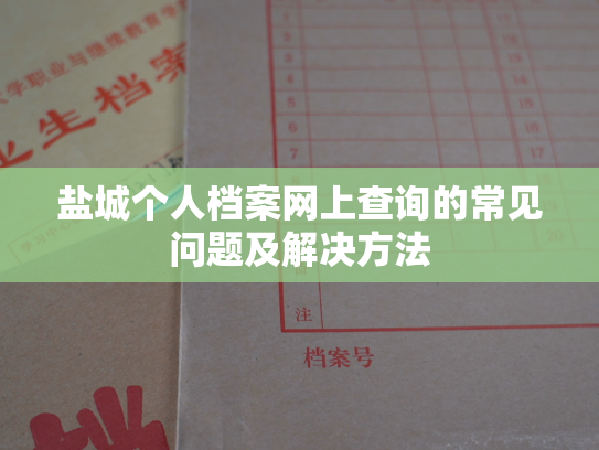 盐城个人档案网上查询的常见问题及解决方法