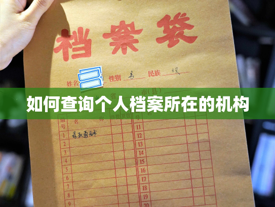 如何查询个人档案所在的机构