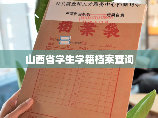 山西省学生学籍档案查询