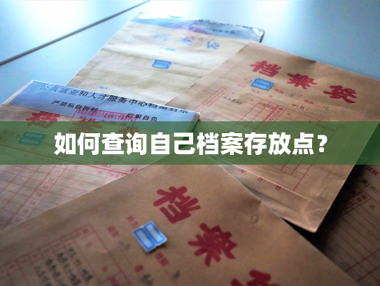 如何查询自己档案存放点？