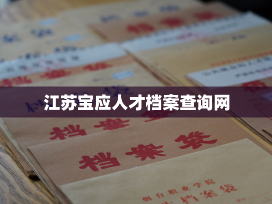 江苏宝应人才档案查询网