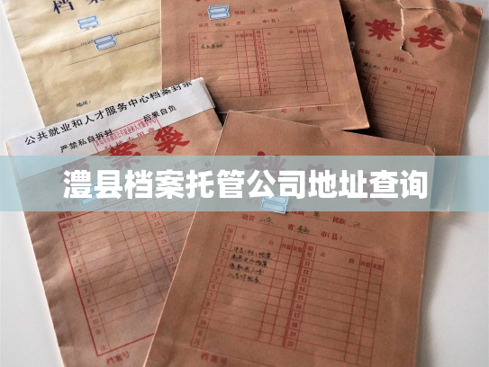 澧县档案托管公司地址查询
