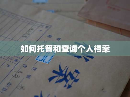 如何托管和查询个人档案