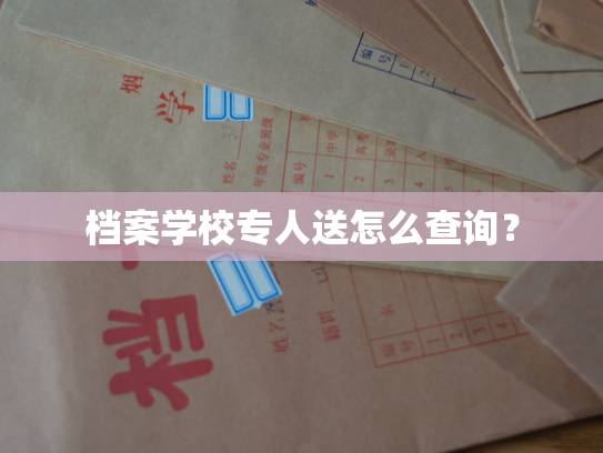 档案学校专人送怎么查询？
