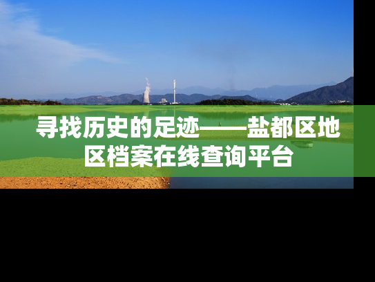 寻找历史的足迹——盐都区地区档案在线查询平台