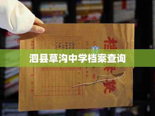 泗县草沟中学档案查询