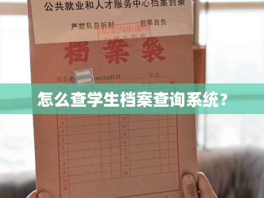 怎么查学生档案查询系统？