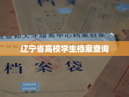 辽宁省高校学生档案查询