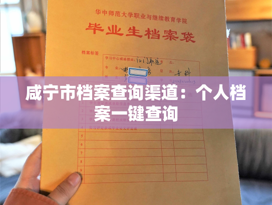 咸宁市档案查询渠道：个人档案一键查询
